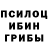 Псилоцибиновые грибы Psilocybine cubensis Tirza Kharisma