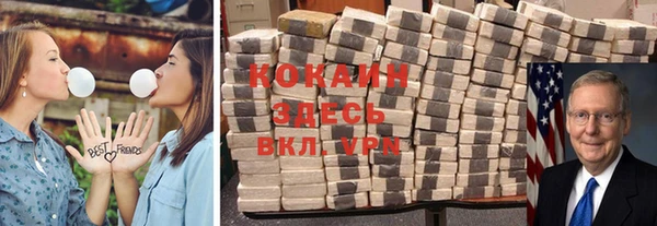 твердый Дмитров