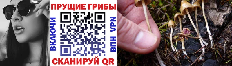 Псилоцибиновые грибы ЛСД  Кыштым 