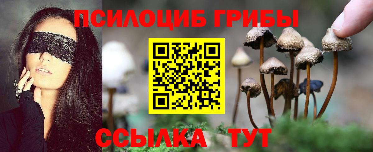 Кыштым  Псилоцибиновые грибы GOLDEN TEACHER  наркотики  Вход с VPN 